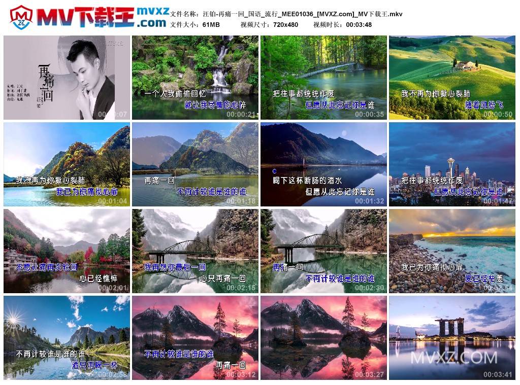汪铂-再痛一回_国语_流行_MEE01036